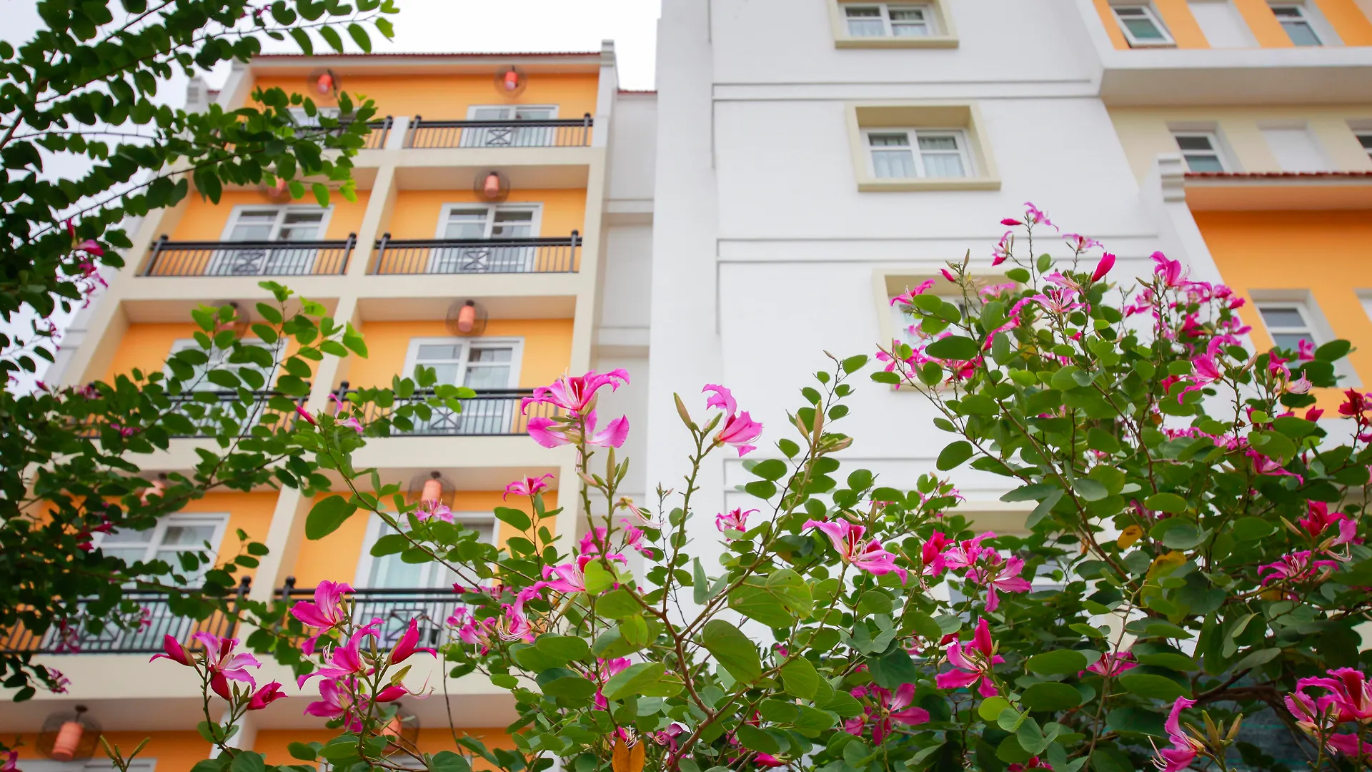 Royal Riverside Hoi An Hotel & Spa